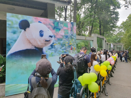 シャンシャンを一目見ようと列に並ぶファンら＝１２日、中国四川省雅安市の碧峰峡基地