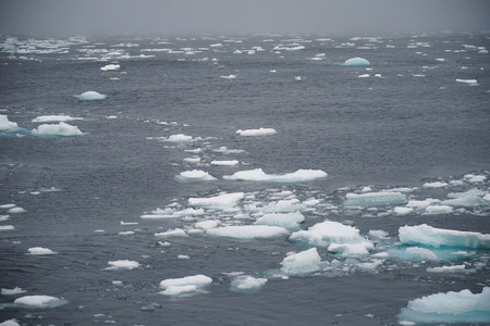 １６日、海洋地球研究船「みらい」から見た北極海の海氷