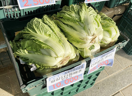 ２９日、ソウル市内のスーパーに並ぶ白菜。１個１万ウォン（約１１００円）で売られていた