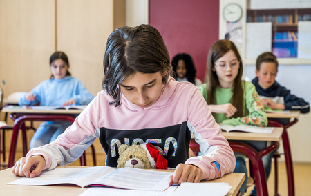 オランダ・ライデルドルプの小学校で、試験を受ける子どもたち(資料)